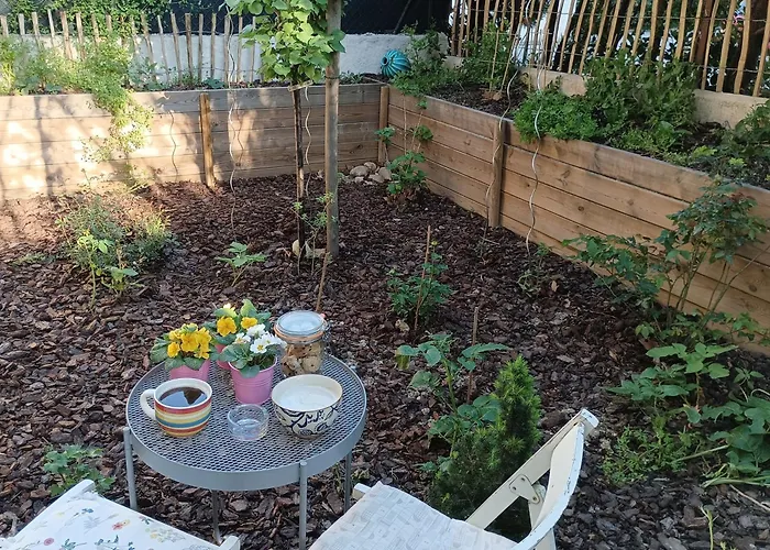 Meilleurs Bed and Breakfast à Arles